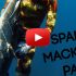 spanish mackerel hunting part 02