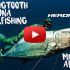 Spearfishing Dogtooth tuna - mission Africa